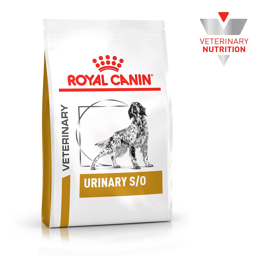 [ĐIỀU TRỊ SỎI THẬN] Thức ăn cho chó bị bệnh sỏi thận Royal Canin Urinary S/O 2kg