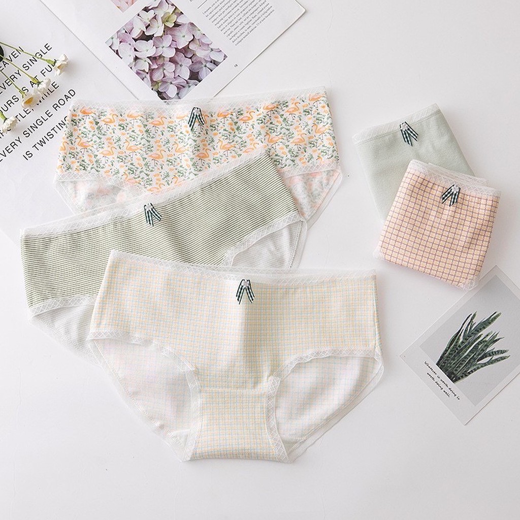 COMBO 5 QUẦN LÓT COTTON EVABRA COMBO 5 QUẦN CHIP NỮ NHIỀU LOẠI CẠP VỪA CẠP VỪA CHỐNG HẰN LỘ VIỀN CO GIÃN NHIỀU Q230