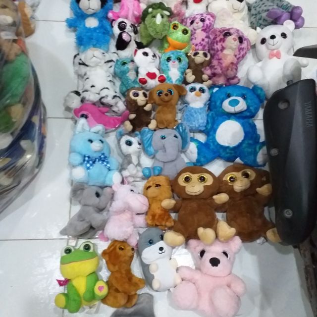 Gấu bông Sua Hoa
