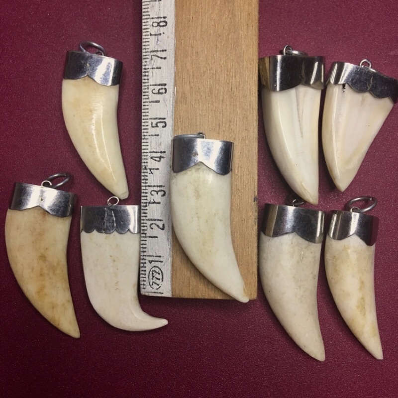 RĂNG NANH LÀM MẶT DÂY CHUYỀN