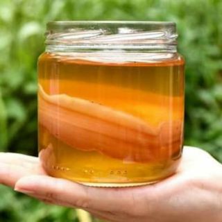 Nấm trà scoby, làm trà lên men kombucha