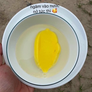 Bông Mút Nở Rửa Mặt Chivey Nhật Bản