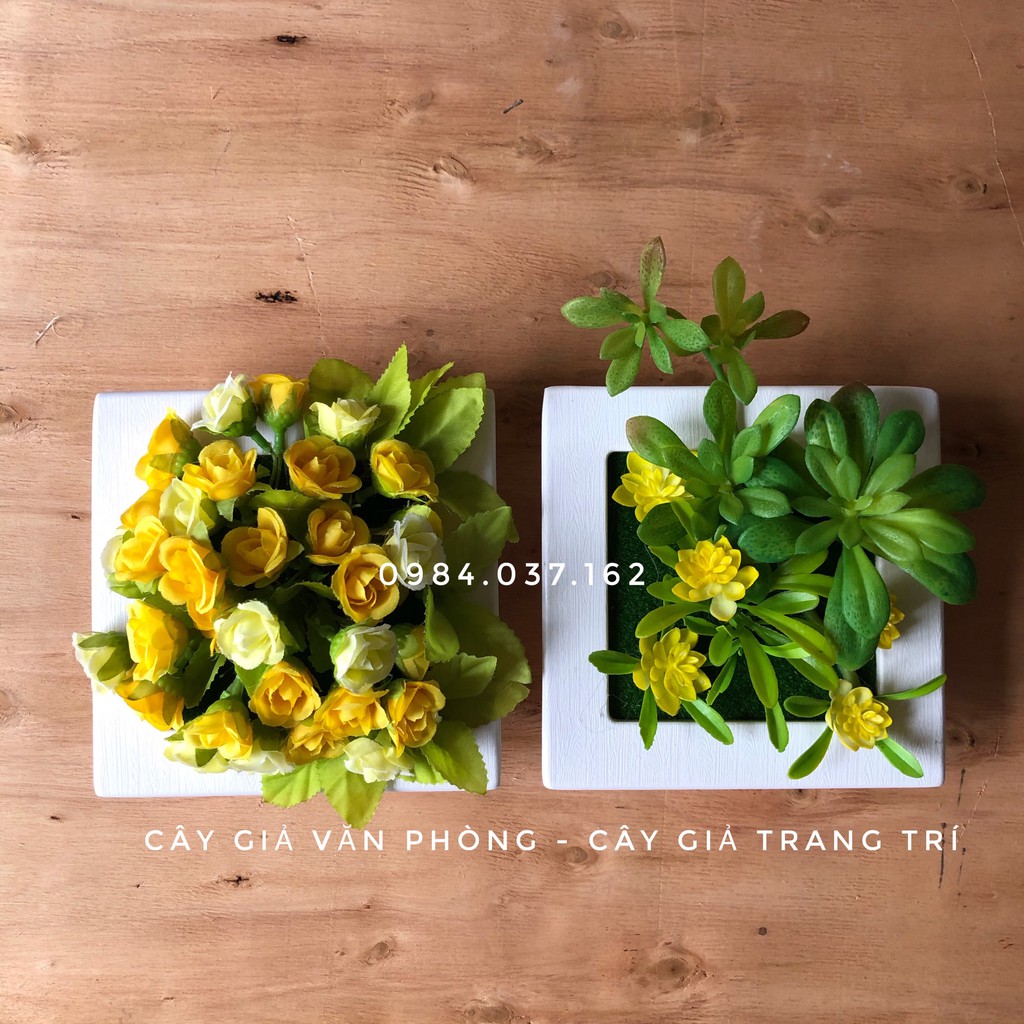 Khung Tranh Hoa Treo Tường Trang Trí- Khung Cây Hoa