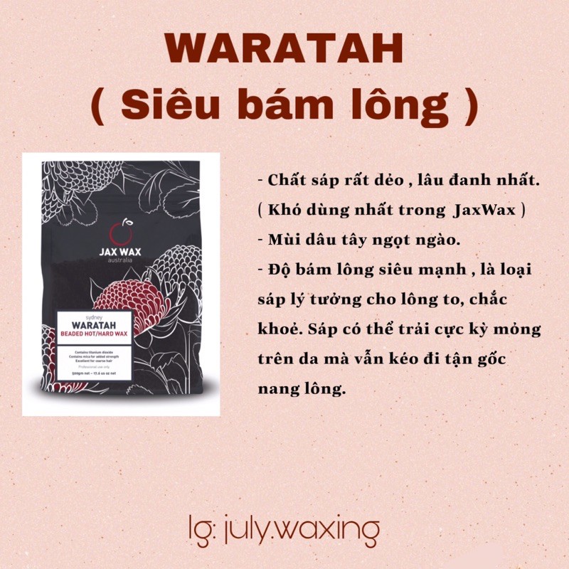 Sáp Tẩy Lông Jax Wax của Úc