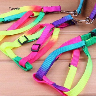 ☄️☄️(ĐỔ BUÔN)DÂY DẮT CHÓ MÈO ĐI DẠO CHẤT LIỆU DÙ TẾT CỰC BỀN!!