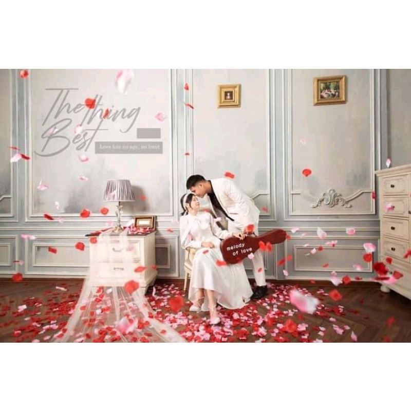 cánh hoa hồng chụp hình