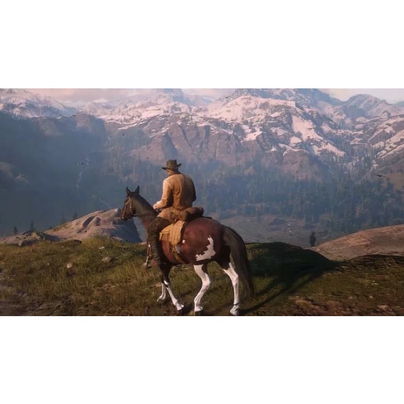 Đĩa chơi game PS4: Red Dead Redemption 2