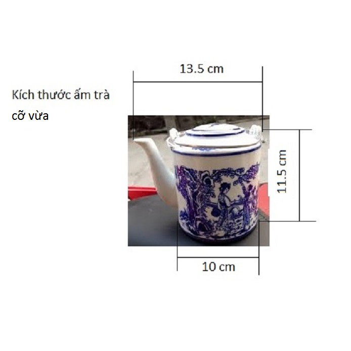 Bộ sản phẩm gồm 1 vỏ bình trà bằng trái dừa và 2 ấm trà cỡ vừa (khoảng 600-700ml)