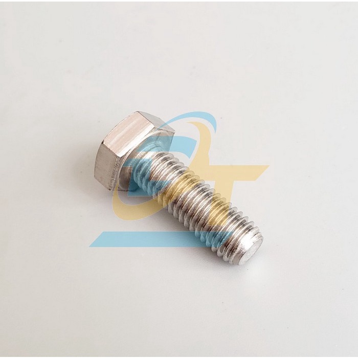 Bulong inox 304 M5-M6-M8-M10-M20