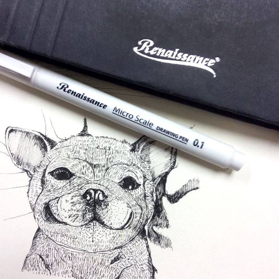 Bút Lông Kim Renaissance Design Microscle Drawing Mực Đen