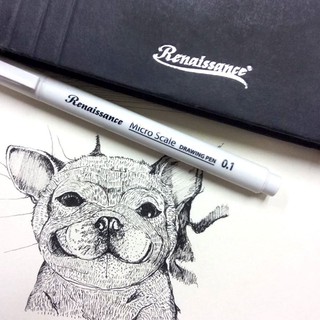 Bút Lông Kim Renaissance Design Microscle Drawing Mực Đen