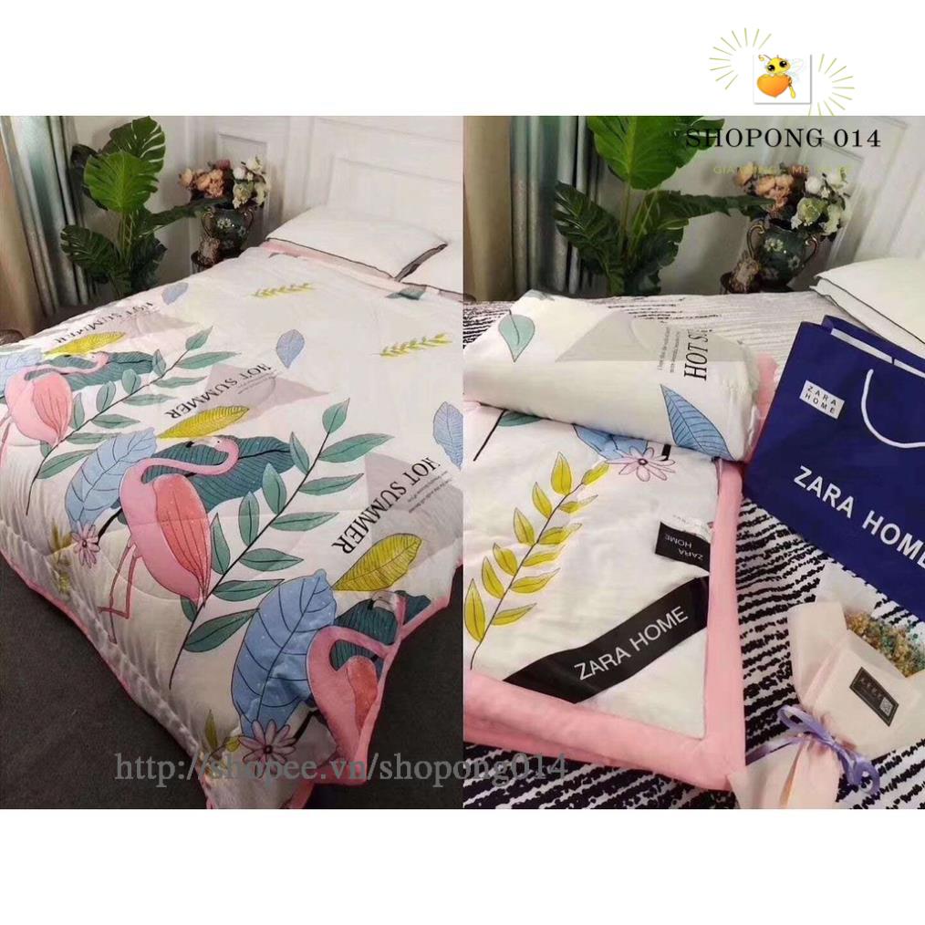 CHĂN ĐŨI ZARA* HỒNG CHIM VẠC HOT 2020