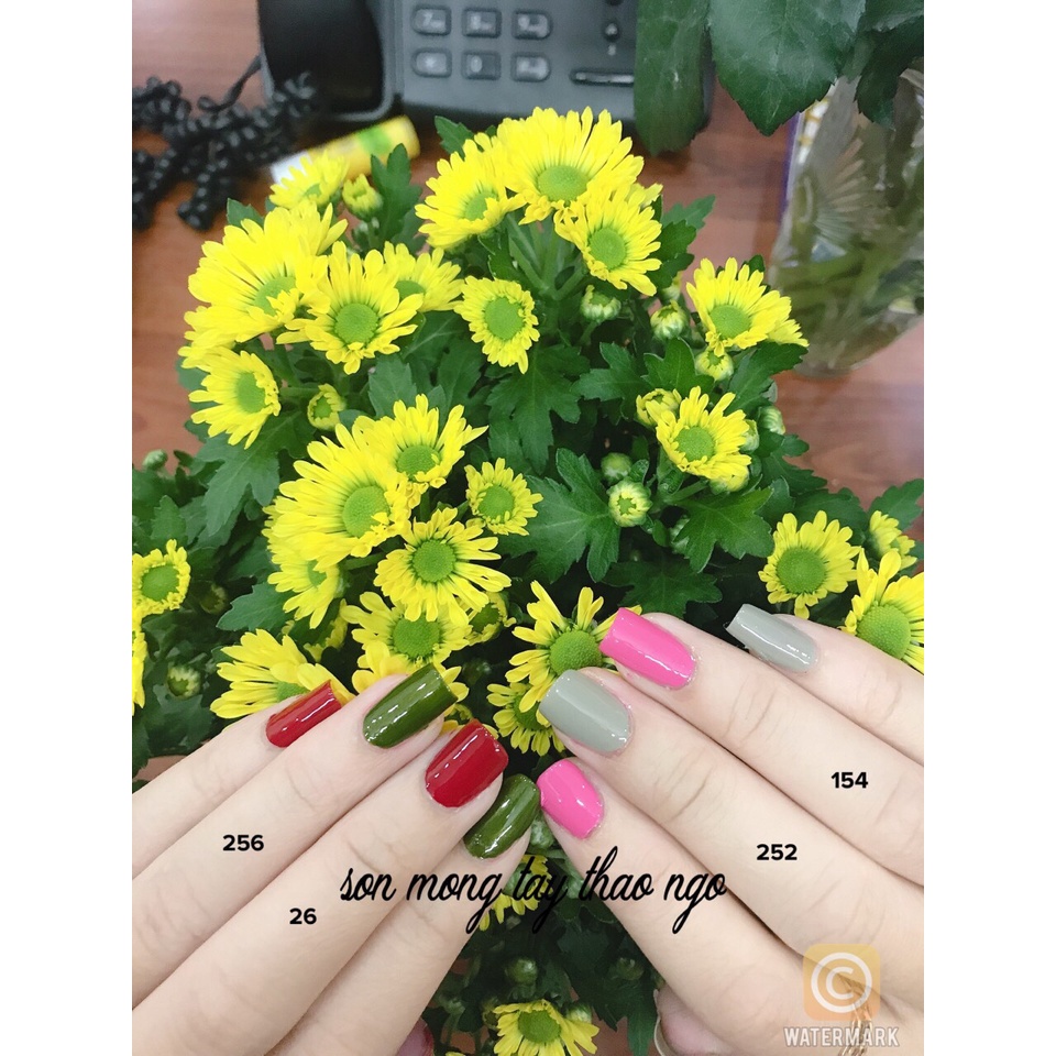 Combo Sơn Silver Prosper siêu đẹp 16ml