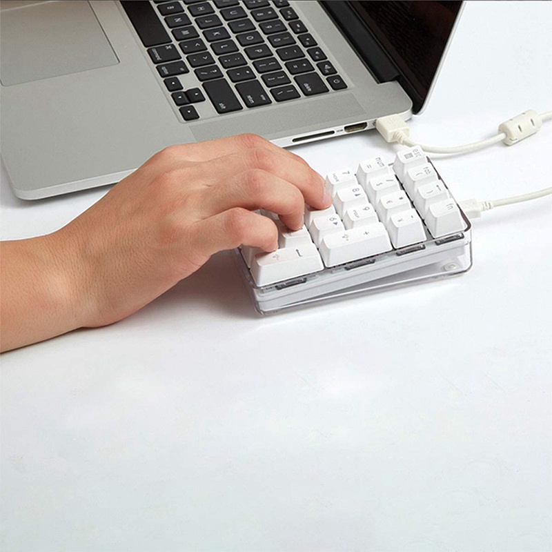 Bàn phím số cơ GATERON Công tắc màu nâu Bàn phím chơi game có dây Vỏ pha lê Màu trắng Đèn nền 21 phím Bàn phím Numpad Mini