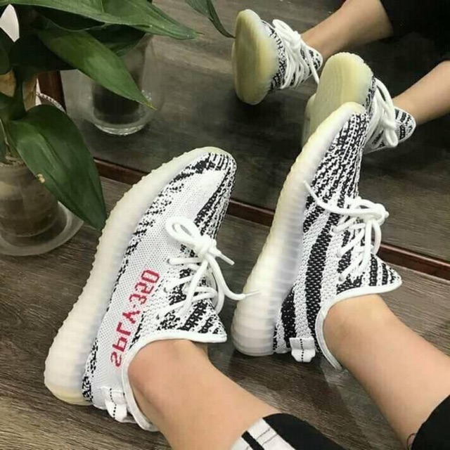 [ CÓ SẴN ] V2 ngựa vằn