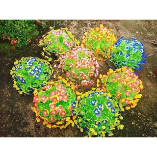 Hoa gấm cánh bướm 35k/ bộ,combo 1000k