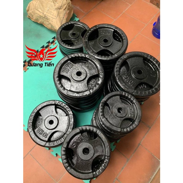 Tạ bánh gang 20kg, tạ đĩa gang 20kg phi 30 lỗ nhỏ QT08
