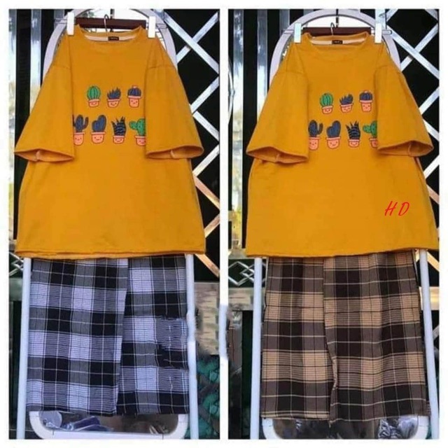 Sét 7 chậu sương rồng tici + quần kẻ HDP876