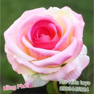 Hoa Hồng Nhung  Hoa Lụa Cao Cấp (51cm)