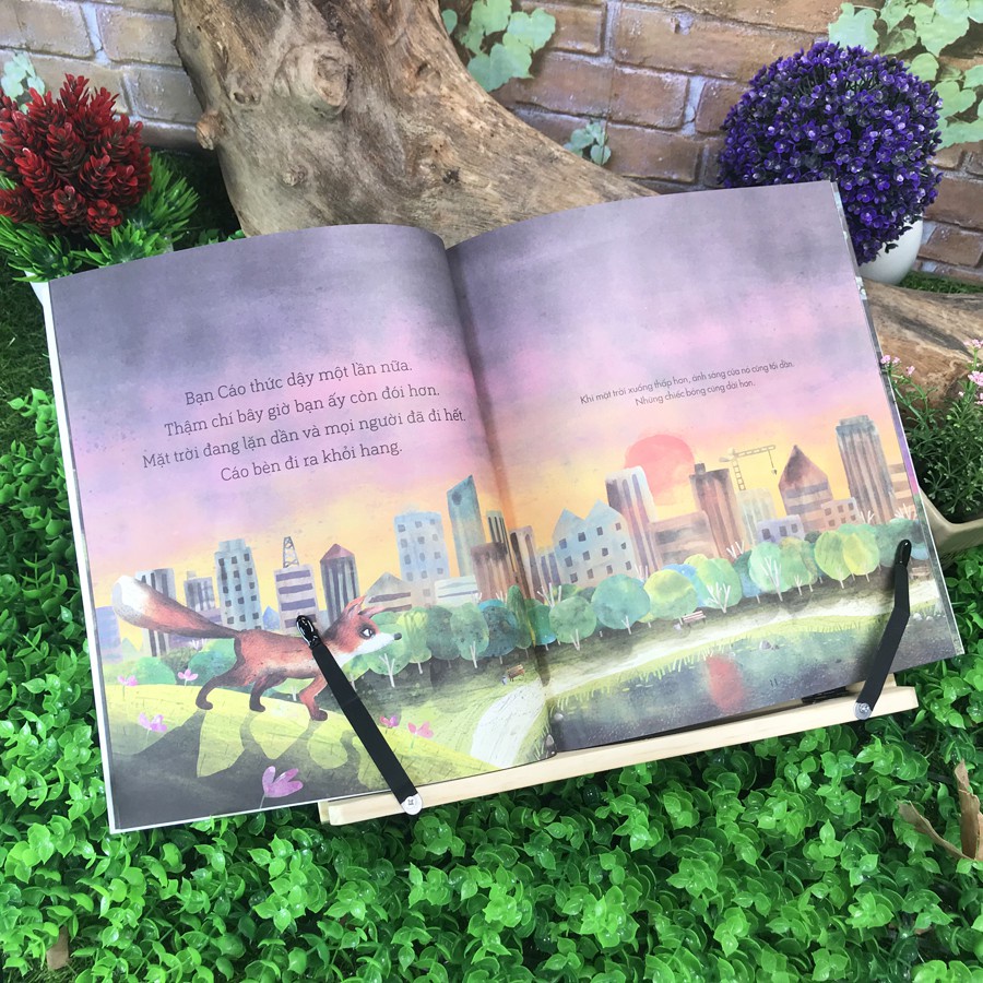 Sách - Câu chuyện khoa học: Bạn Cáo trong đêm