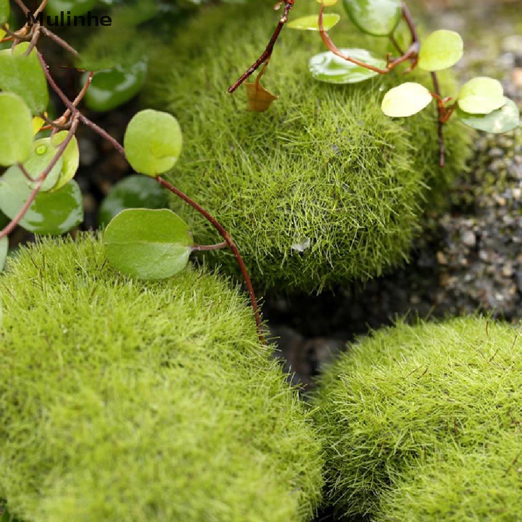 Bộ 4 Hòn Đá Rêu Nhân Tạo Dùng Cho Trang Trí Tiểu Cảnh