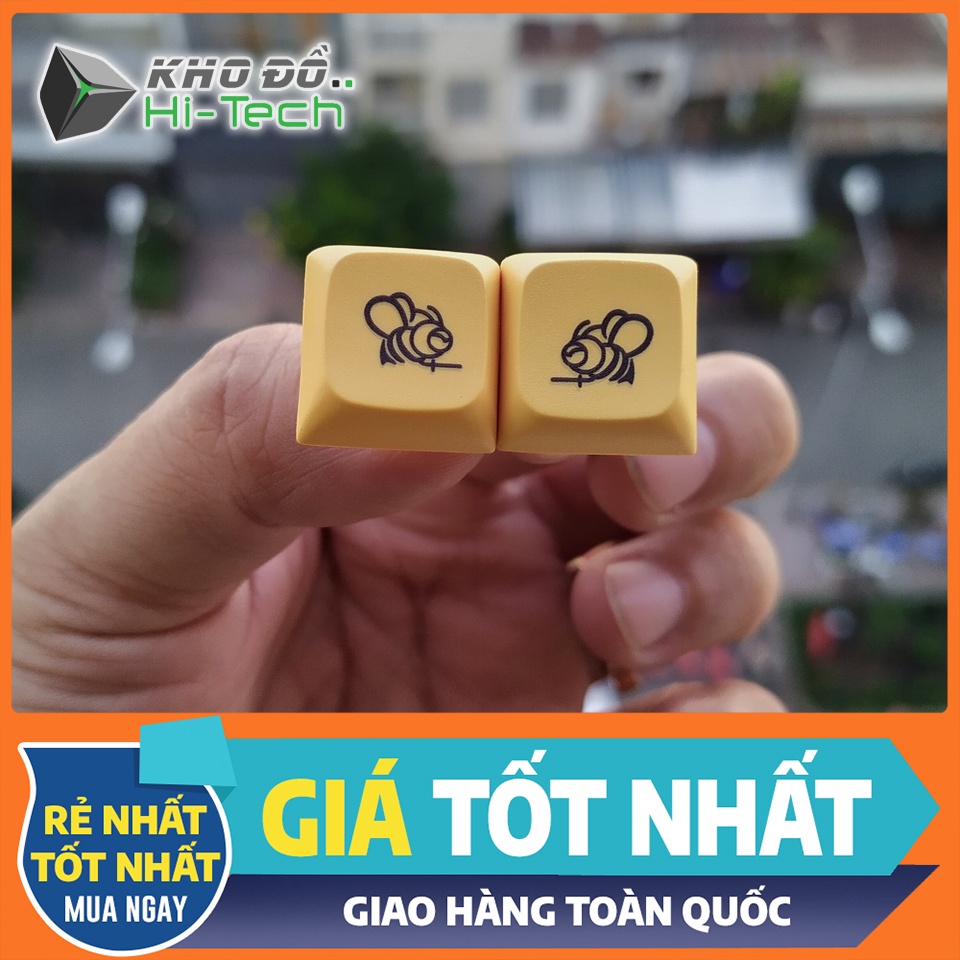 Keycap Honeybee (lẻ) cho bàn phím cơ XDA profile, chất liệu PBT Dye-sub