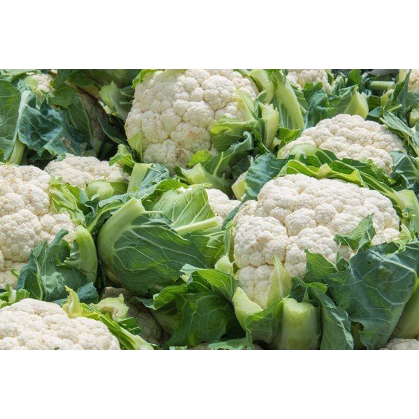 1 Cây BÔNG CẢI XANH/TRẮNG SÚP LƠ cao 5-10cm.200ktặng0.5Ldịchtrùn. SHIP 30PHÚT KHO QUẬN11,7,9,THỦĐỨC, PHÚNHUẬN