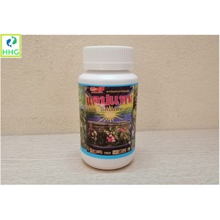 THUỐC TRỪ BỆNH HẠI, ĐỐM LÁ, THỐI LÁ, THỐI RỄ CÂY CAPTAN ĐẶC BIỆT TRỊ DỨT ĐIỂM BỆNH ĐỐM LÁ TRÊN ĐỊA LAN