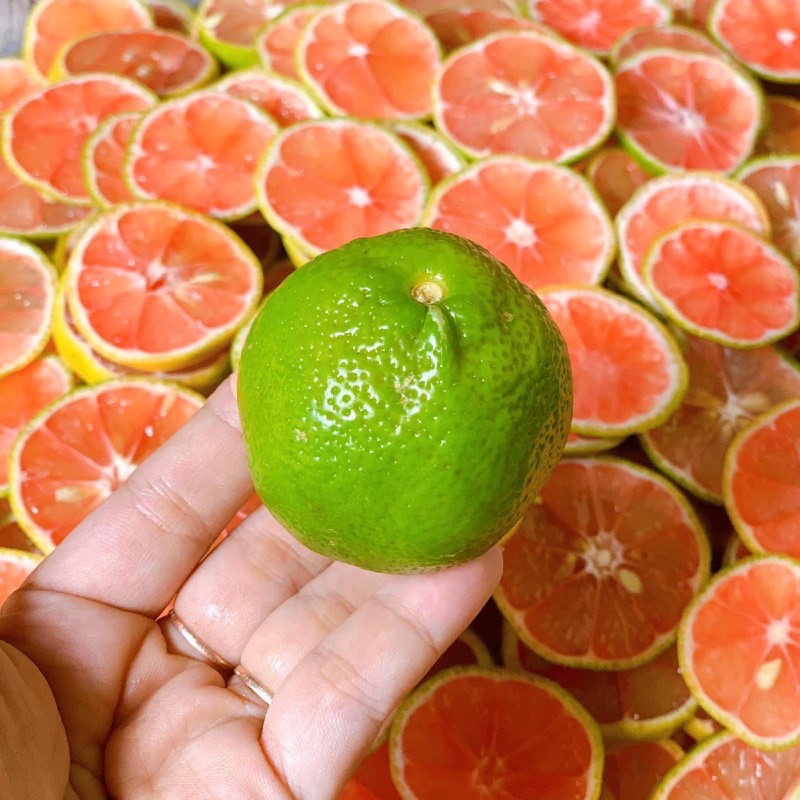 Chanh đào ngâm mật ong nhà làm nguyên chất, siêu ngon siêu sạch tăng đề kháng