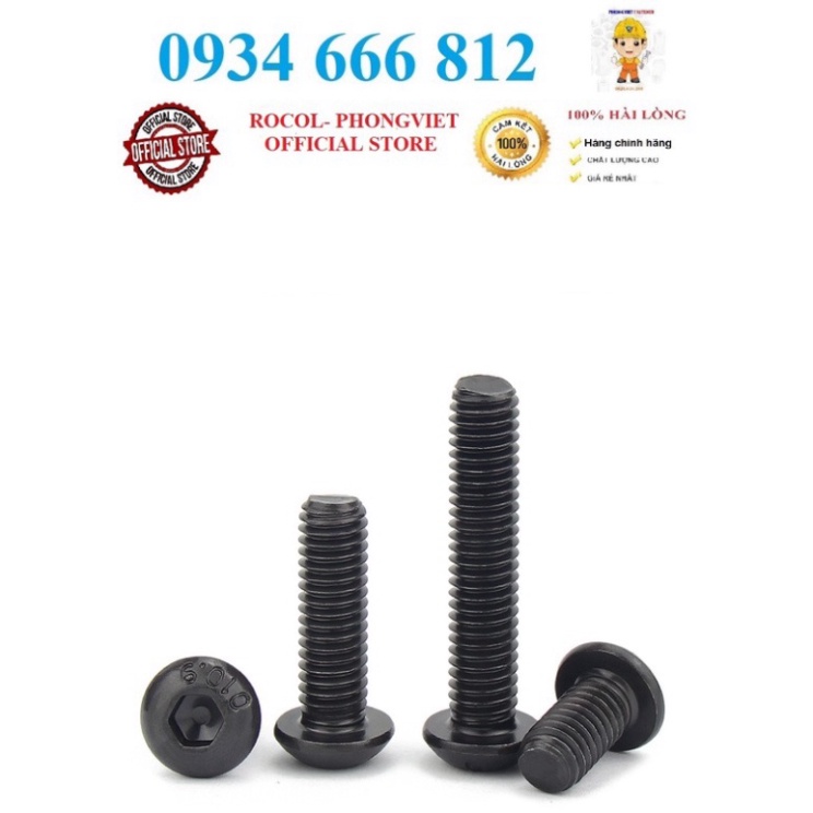 Set 10c M8 Bulong lục giác chìm đầu cầu M8 thép mạ cấp bền 10.9 M8X12,M8x16,.....,M8x30,M8x40,M8x50