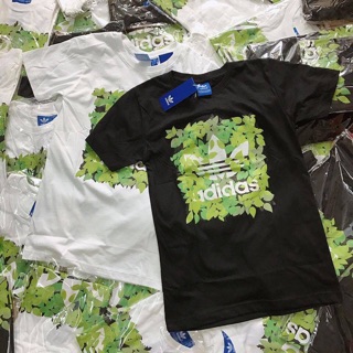 Áo adidas