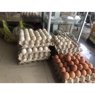 trứng gà cn 10 quả