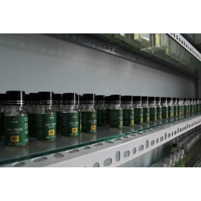 Dầu tràm cao cấp Thánh Tâm thương hiệu tại Huế