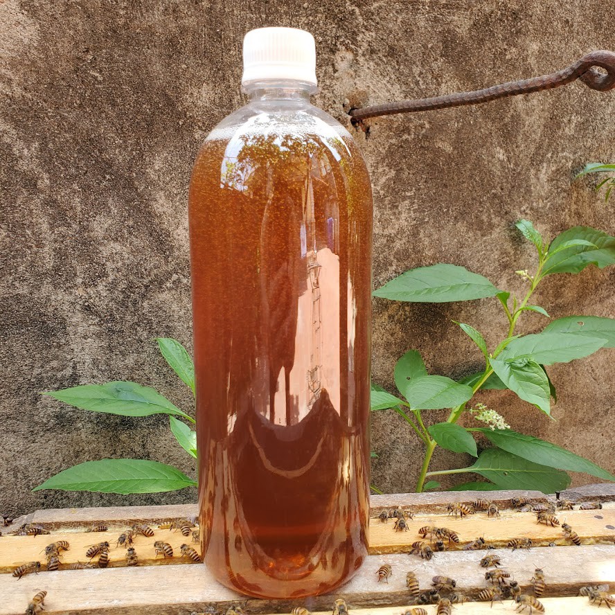  Mật Ong Nguyên Chất Tây Bắc - Mật Ong Theo Mùa 100% Tự Nhiên Chai 1000ML | BigBuy360 - bigbuy360.vn