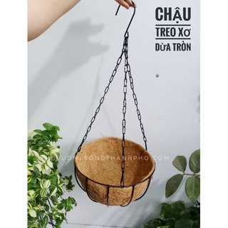 Chậu treo xơ dừa tròn trồng cây rũ