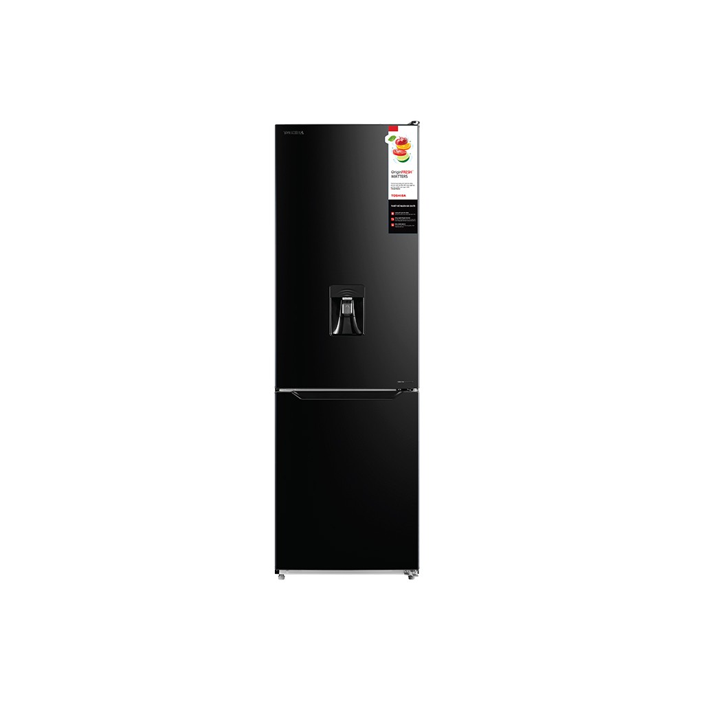 Tủ lạnh Toshiba Inverter 268 lít GR-RB345WE-PMV(30)-BS Mới 2021 - Hàng chính hãng