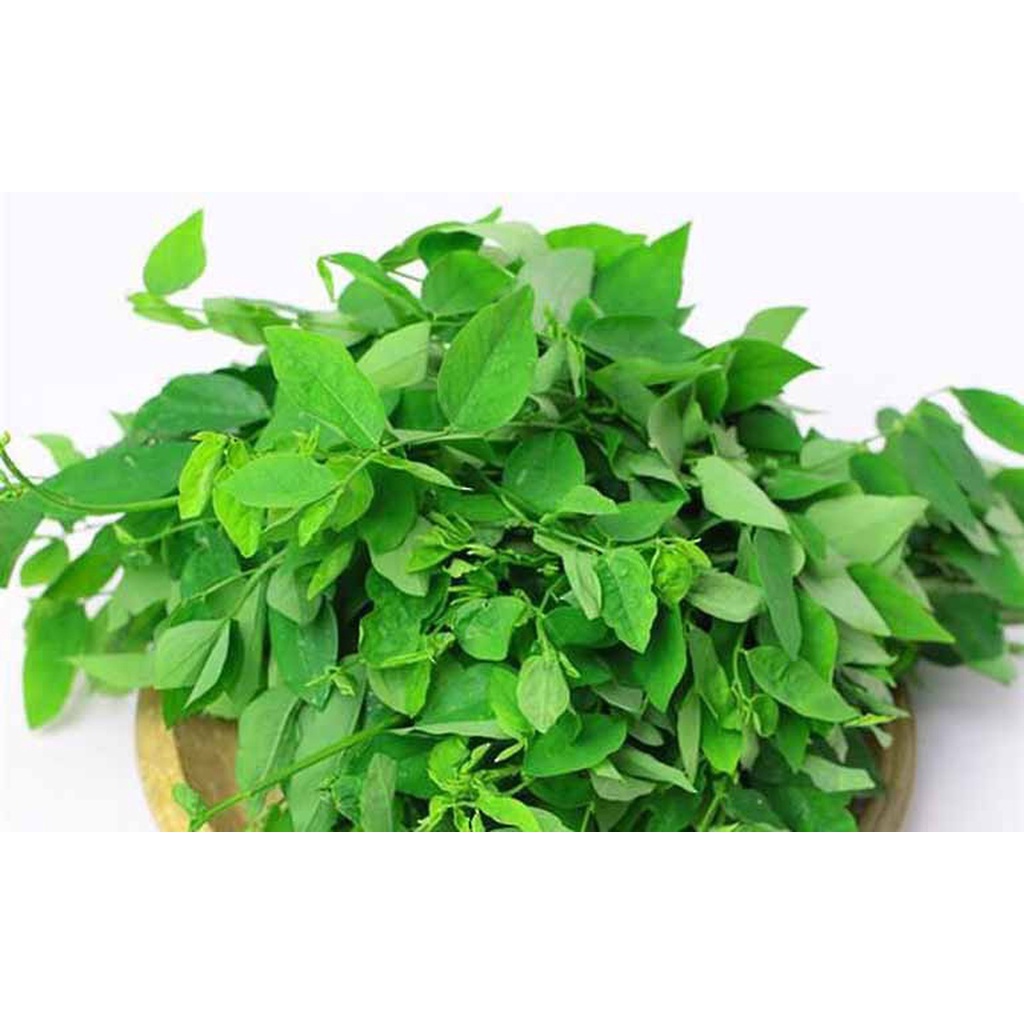 Bôt Rau Bồ Ngót Nguyên Chất Sấy Lạnh Gói 100gr/200g/300g/500gr Chợ Quê Chuyên dùng tạo màu thực phẩm nấu cháo dinh dưỡng