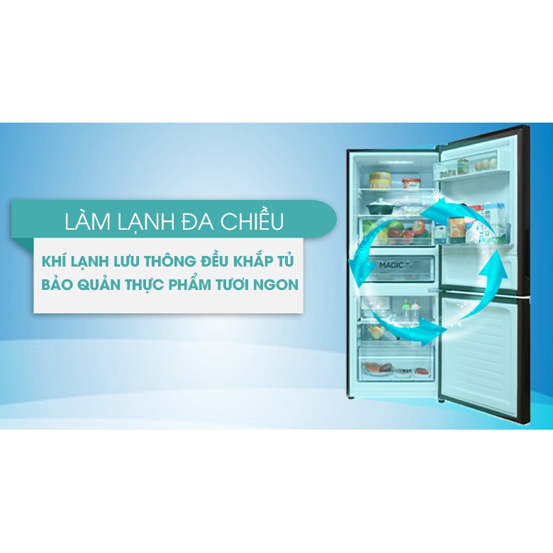 tủ lạnh Aqua Inverter 260lít I298EBBS.