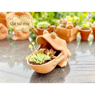 Chậu Ếch há miệng đất nung