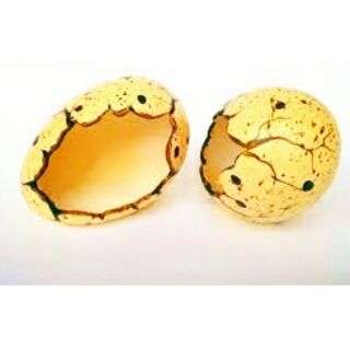 Nhà ngủ trứng cho hamster nhím sóc