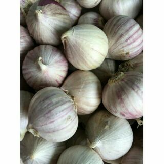 2kg tỏi cô đơn