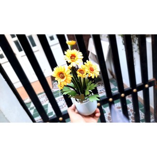 [GIẢM GIÁ] 20 Nhị Lông 1.5cm