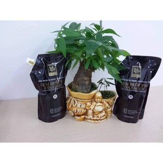 Kem ép duỗi tóc collagen hồng đạt HD 1000ml x2