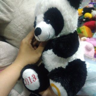 Gấu nhồi bông