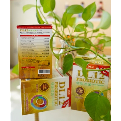 DL12 Probiotic Lợi Khuẩn 12 Chủng Hỗ Trợ Hệ Tiêu Hoá