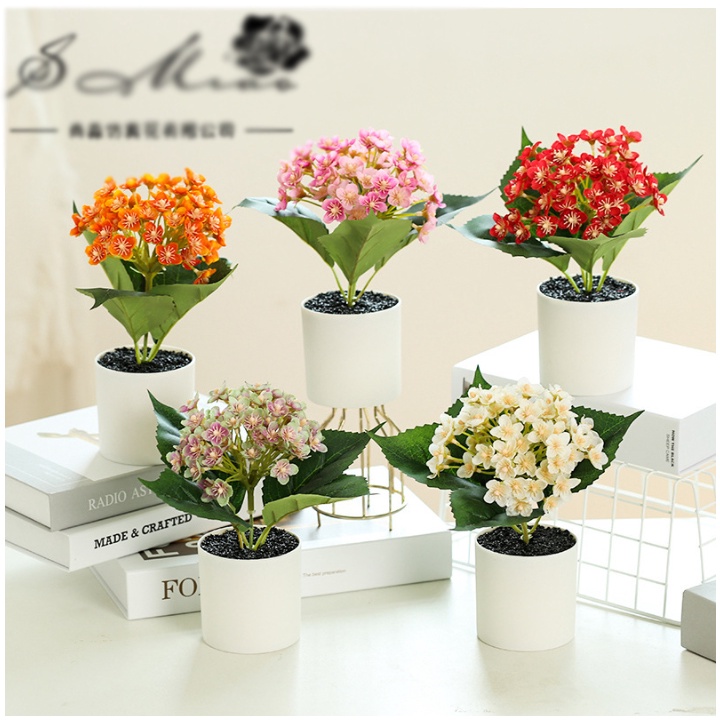 Chậu hoa tú cầu để bàn, chậu hoa giả nhiều mẫu siêu xinh trưng bày và quà lưu niệm