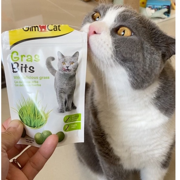 Gras Bits - Cỏ Viên Tiêu Búi Lông