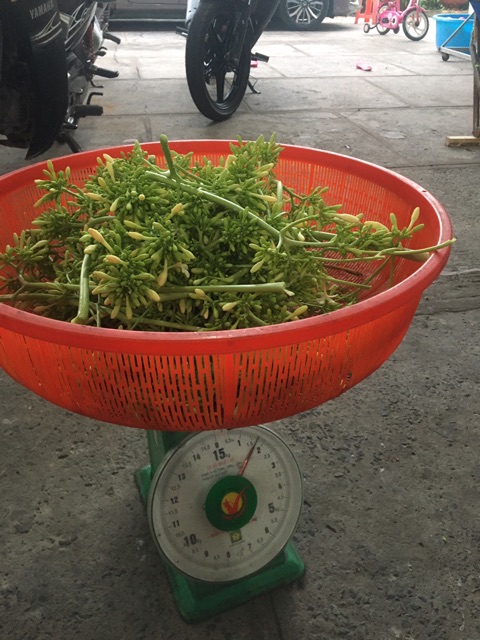 Hoa đu đủ đực khô tươi loại 100g