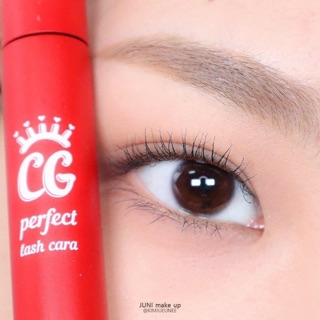 Mascara BLACK ROUGE CG PERFECT LASH CARA