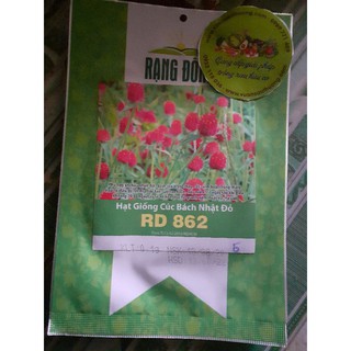 0,1 g Hạt Giống Hoa Cúc Bách Nhật Đỏ Rd 862 Rạng Đông, Nảy Mầm Tốt